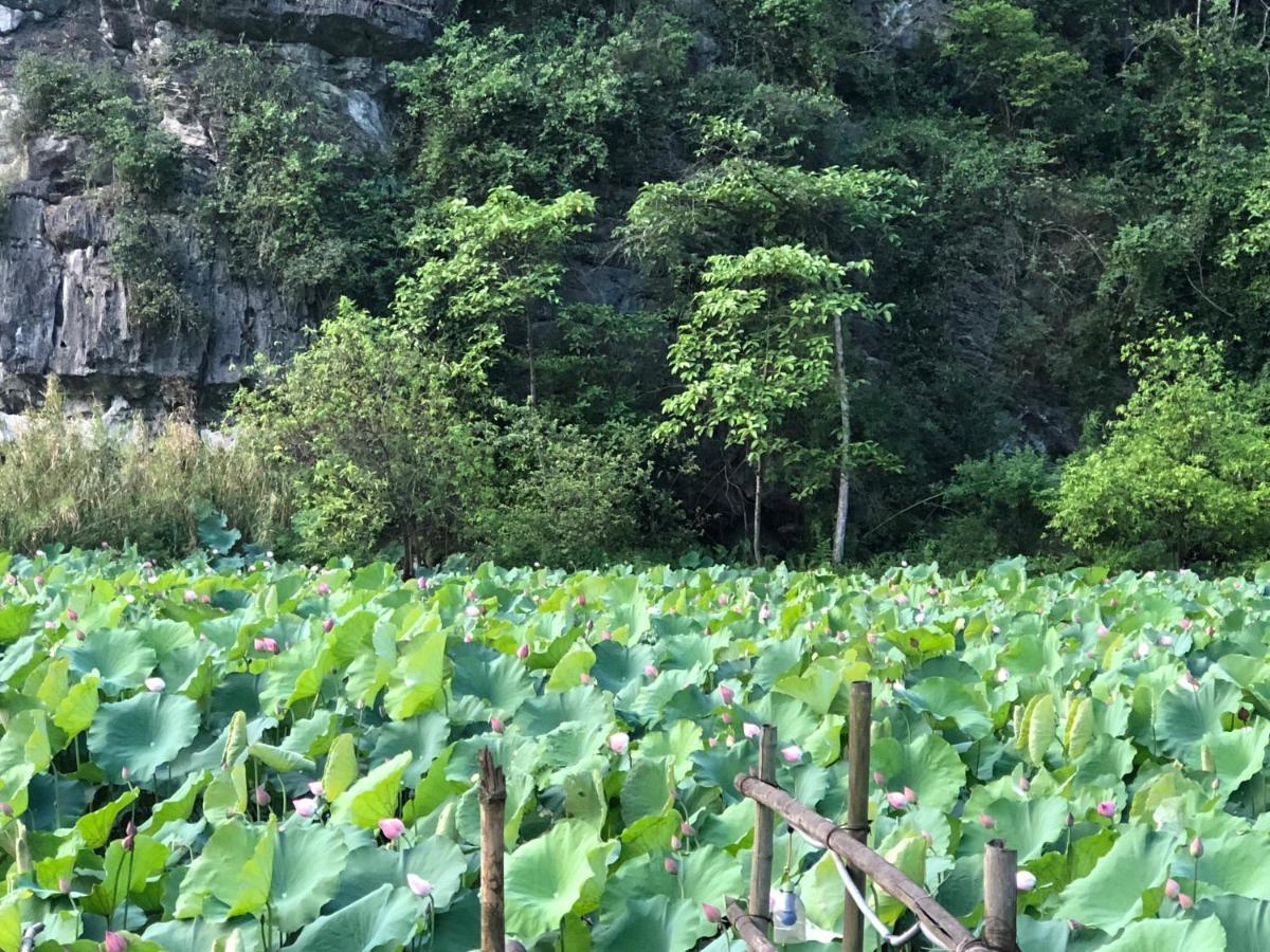 Trang An River View Homestay Ninh Binh Eksteriør bilde